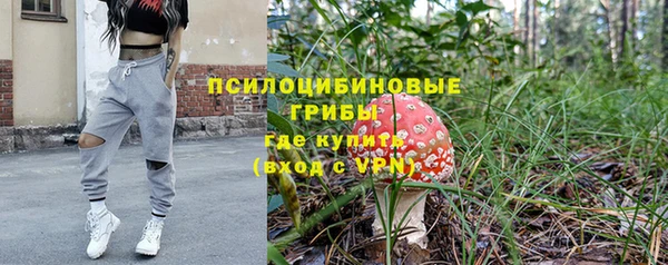 стафф Алексин