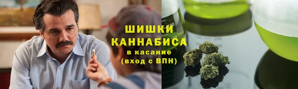 spice Алзамай