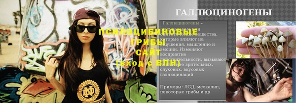 соль ск Алексеевка