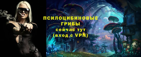соль ск Алексеевка