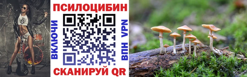 как найти   Аргун  Псилоцибиновые грибы GOLDEN TEACHER 