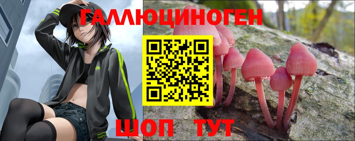 Аргун  Псилоцибиновые грибы Psilocybe  Галлюциногенные грибы Magic Shrooms  Вход с VPN 